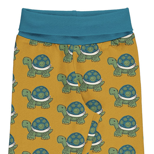 Bombacho Turtle