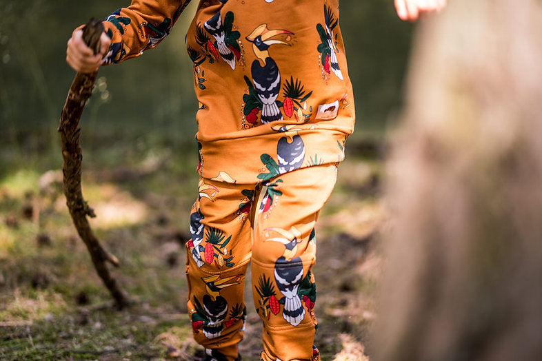 Jogger Hornbill